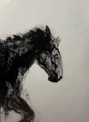 Dark Horse by Rachel Bonnici